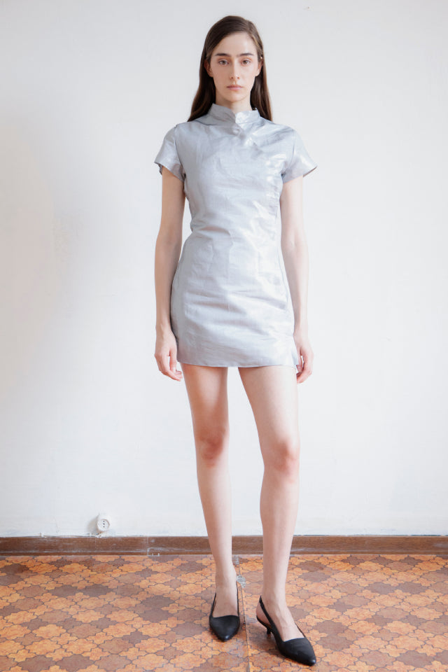 Metallic Dress