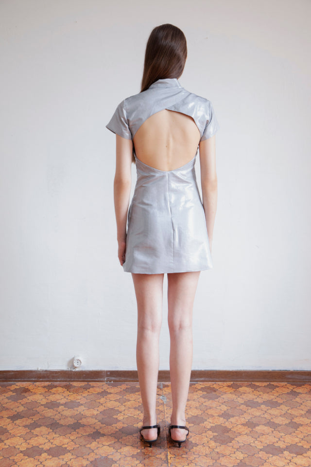 Metallic Dress